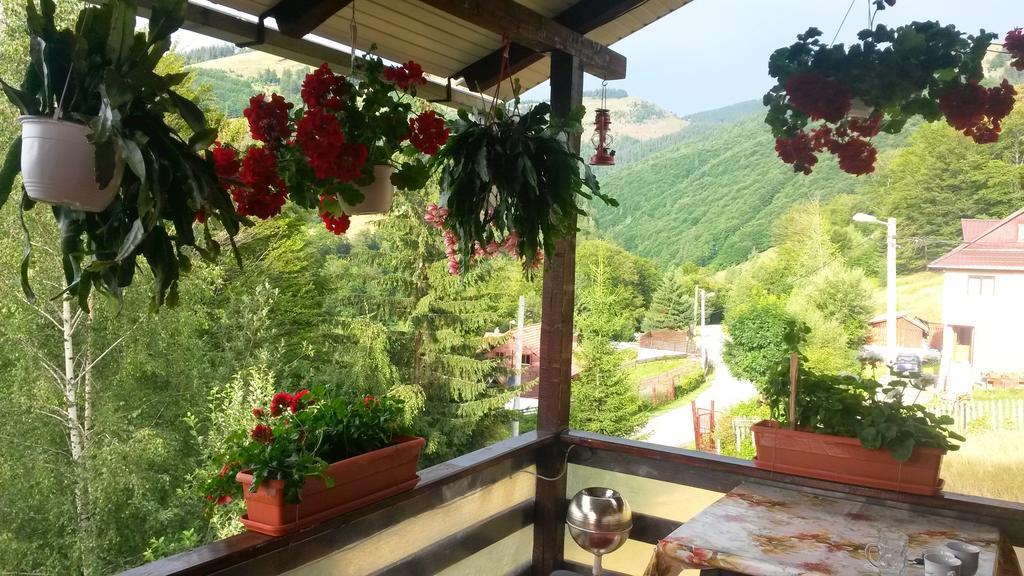 Cabana Maly Petroşani Extérieur photo